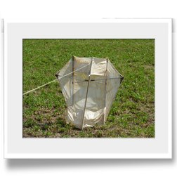 Apparatus oder Rocket Kite
