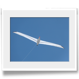 Albatros, Bj. 2013