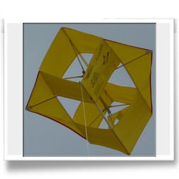 Antennendrachen, Workshop Fan 2010
